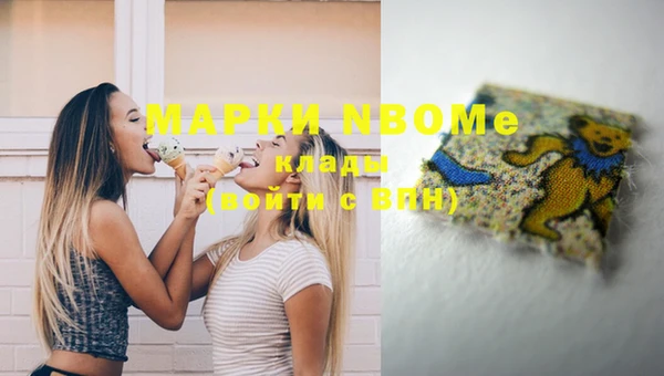 стаф Зерноград