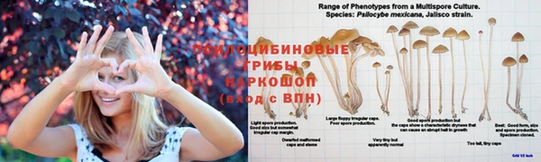не бодяженный Зеленокумск