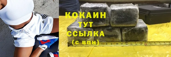стаф Зерноград