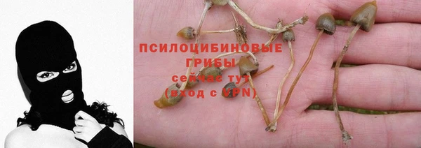 винт Инсар