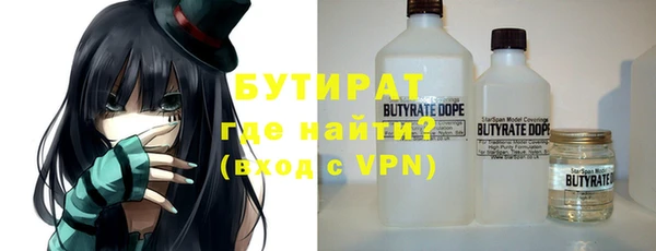 индика Иннополис