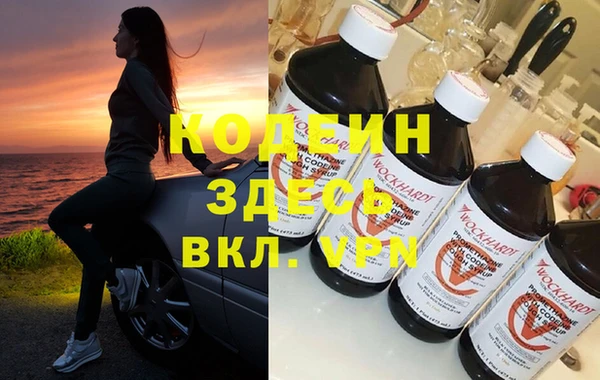 индика Иннополис