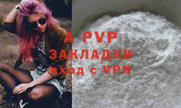 индика Иннополис
