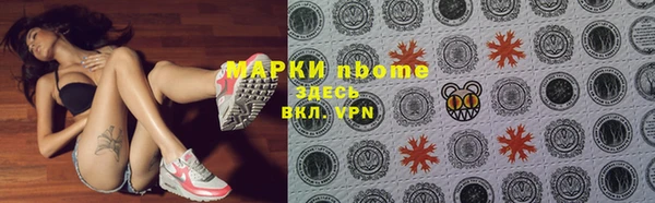 стаф Зерноград