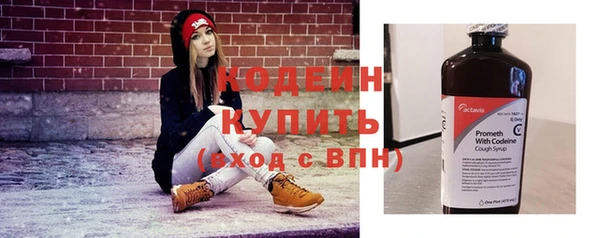 стаф Зерноград