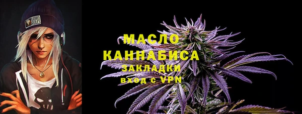 МДПВ Инта